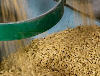 飼料行業-蒸汽（qì）節能方（fāng）案